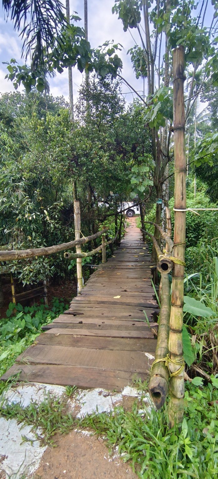 Bamboo bridge through lush greenery at Banasura Bridgewoods
